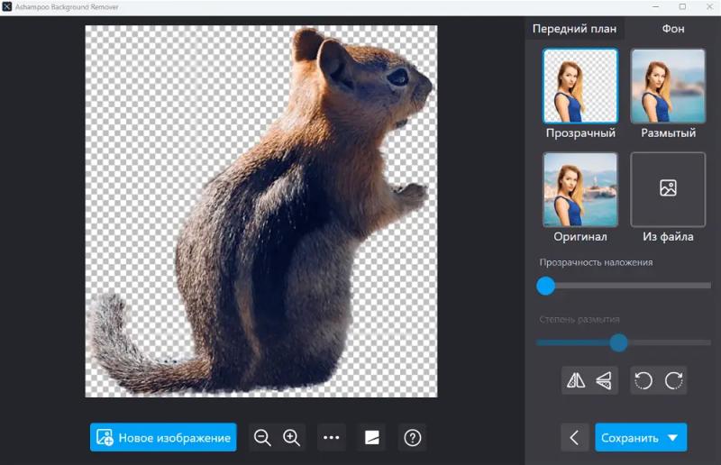 Ashampoo Background Remover  – бесплатная лицензия (пожизненная)