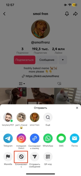 Как заблокировать человека в TikTok