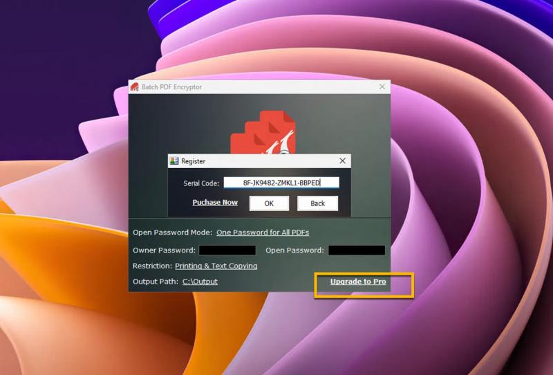 Batch PDF Encryptor PRO – бесплатная лицензия (пожизненная)