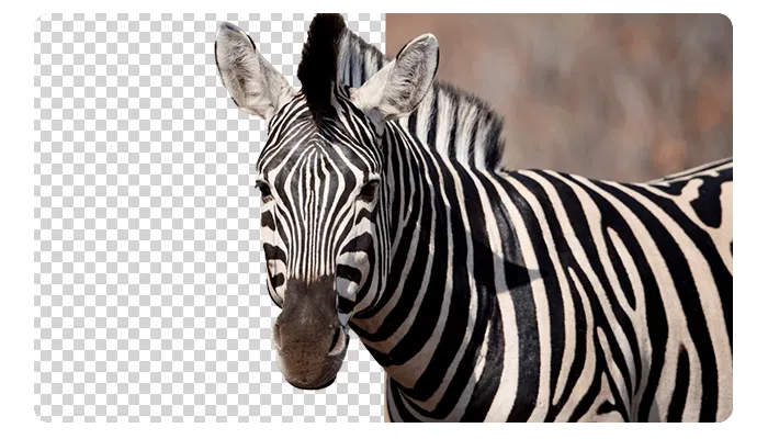 Ashampoo Background Remover 2 (с ИИ) – бесплатная лицензия (пожизненная)